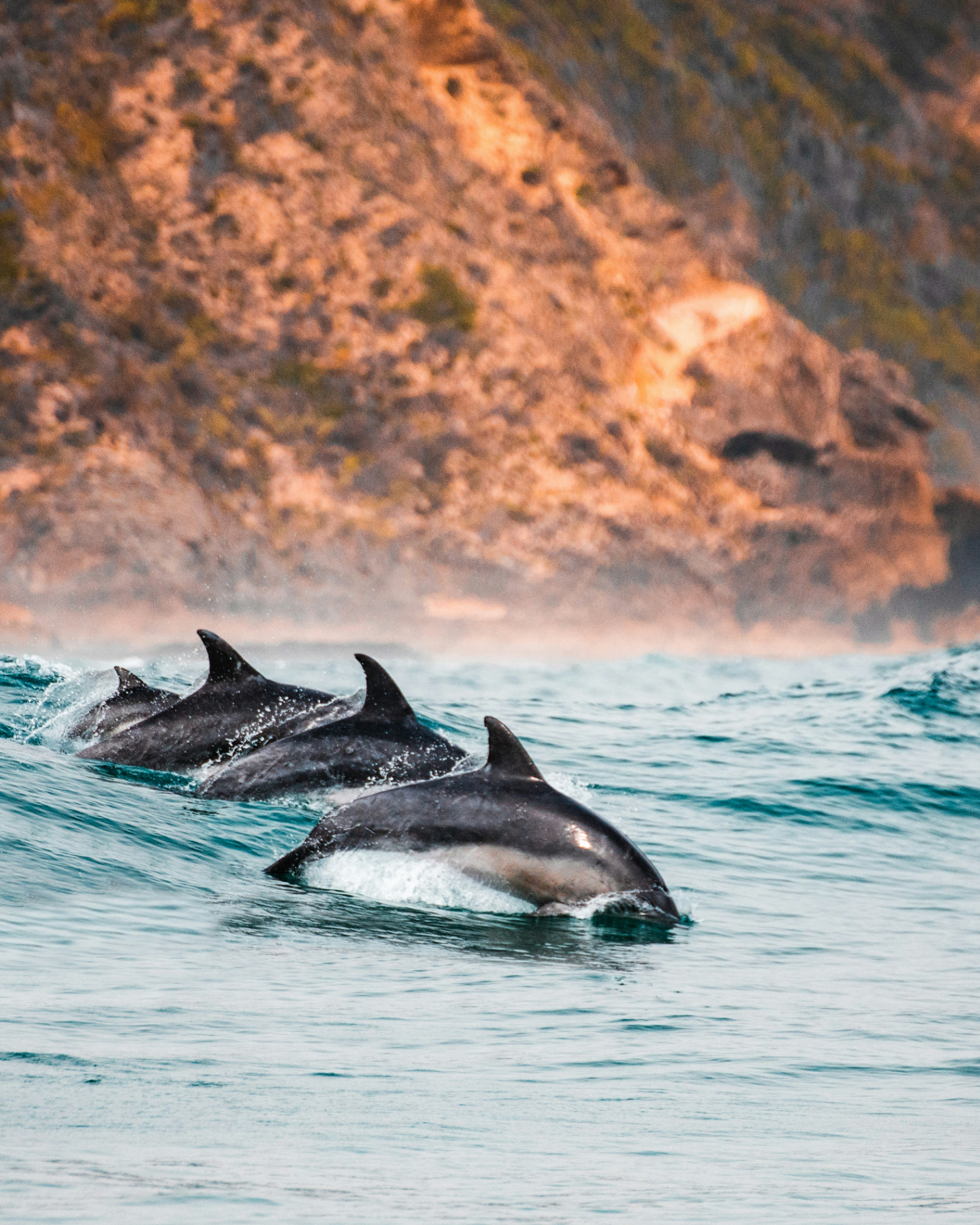 Garden Route