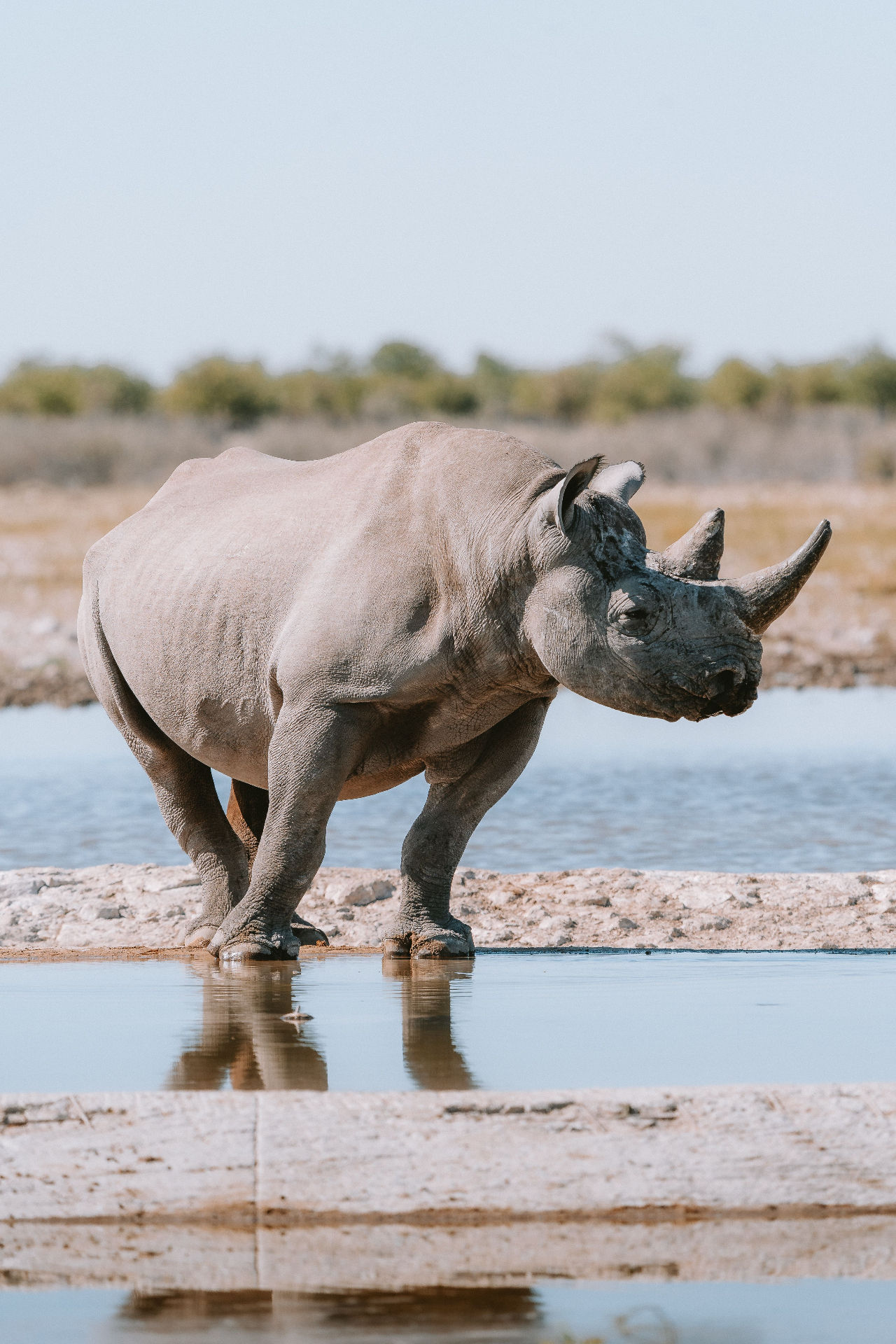 Makgadikgadi & Nxai Pans