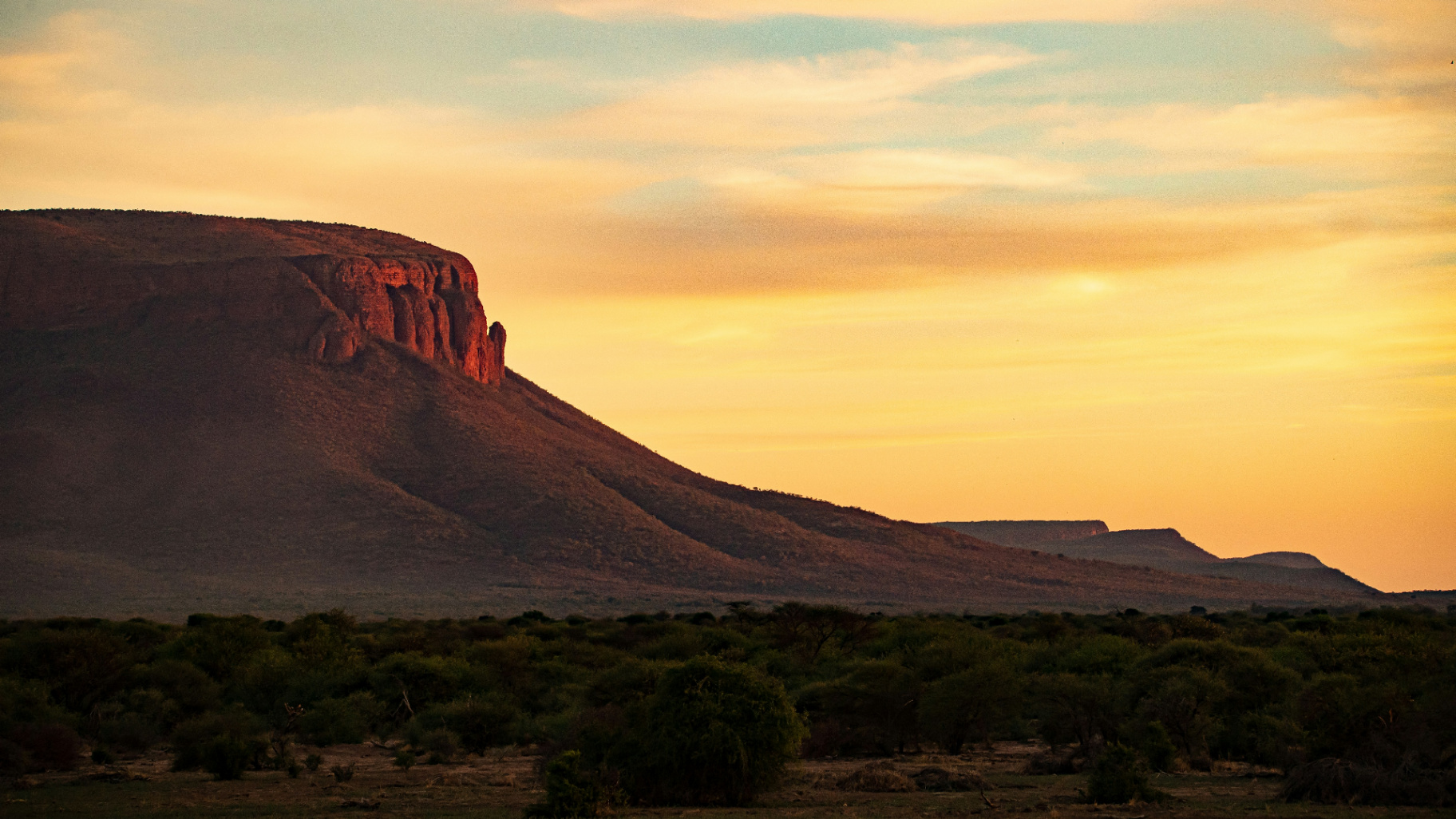 Waterberg Bushveld