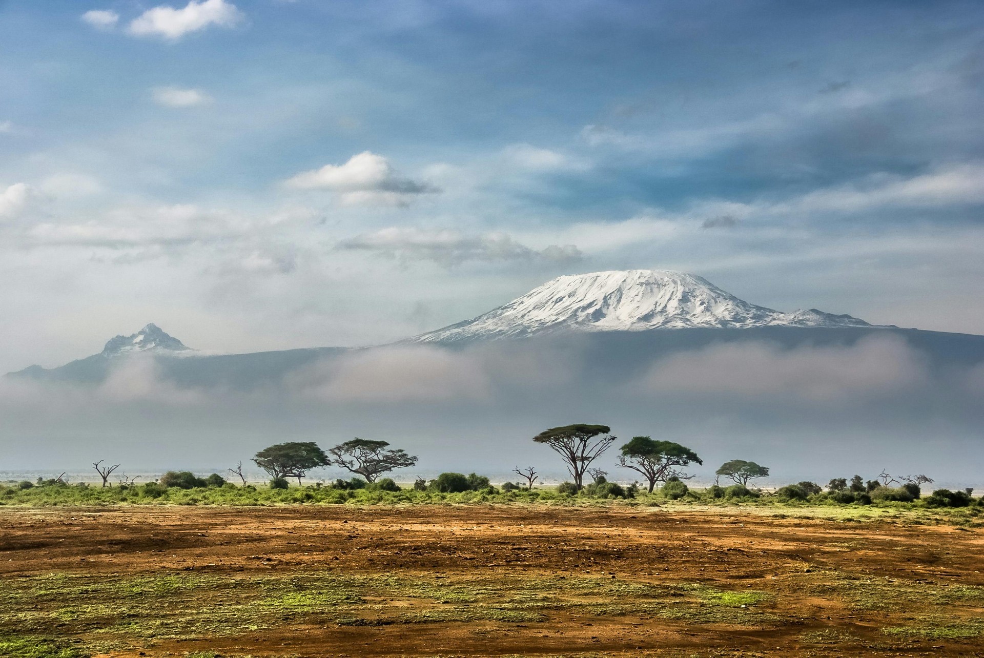 Serengeti plains at sunrise with acacia silhouettes
