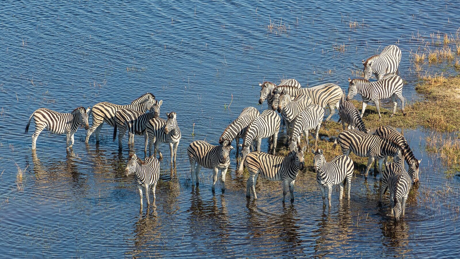 Best Time to Visit Botswana: Month-by-Month Guide (2025/2026)