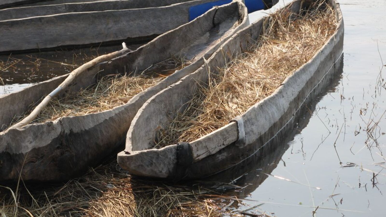 Okavango Delta Travel Guide: What to Expect, How to Get There & Where to Stay
