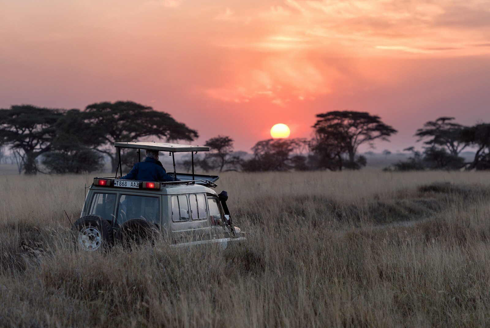 Self-Drive vs Guided Safari: Which Is Right for You?