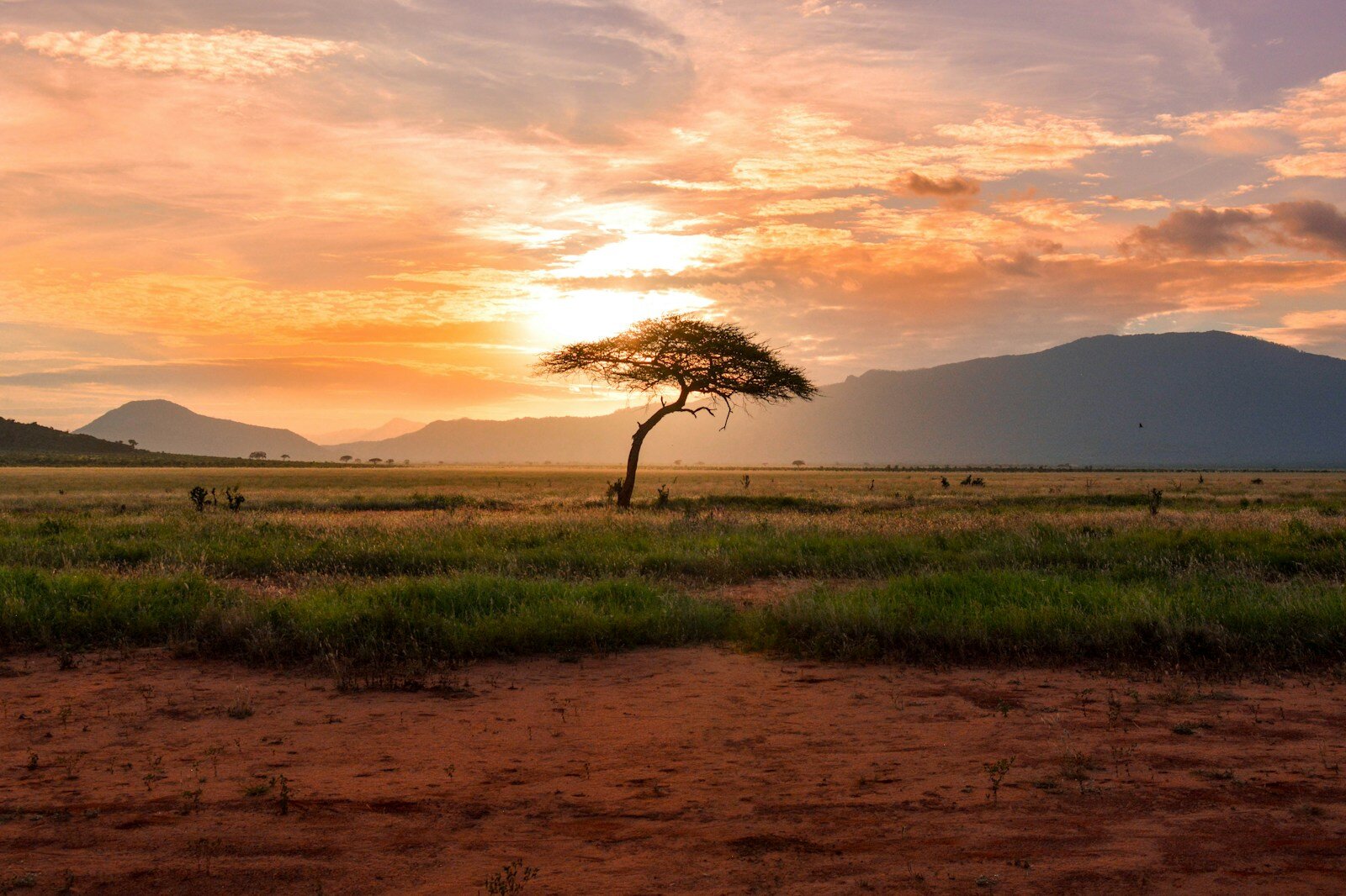 Top 10 Safari Destinations for 2026