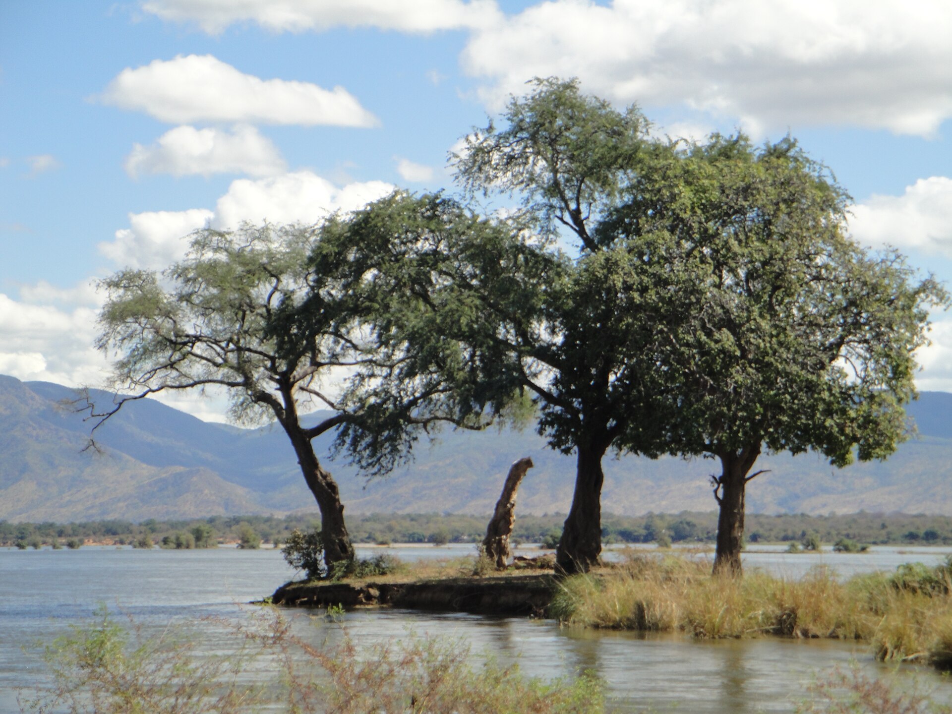 Mana Pools National Park: Zimbabwe's Wild Walking Safari Destination
