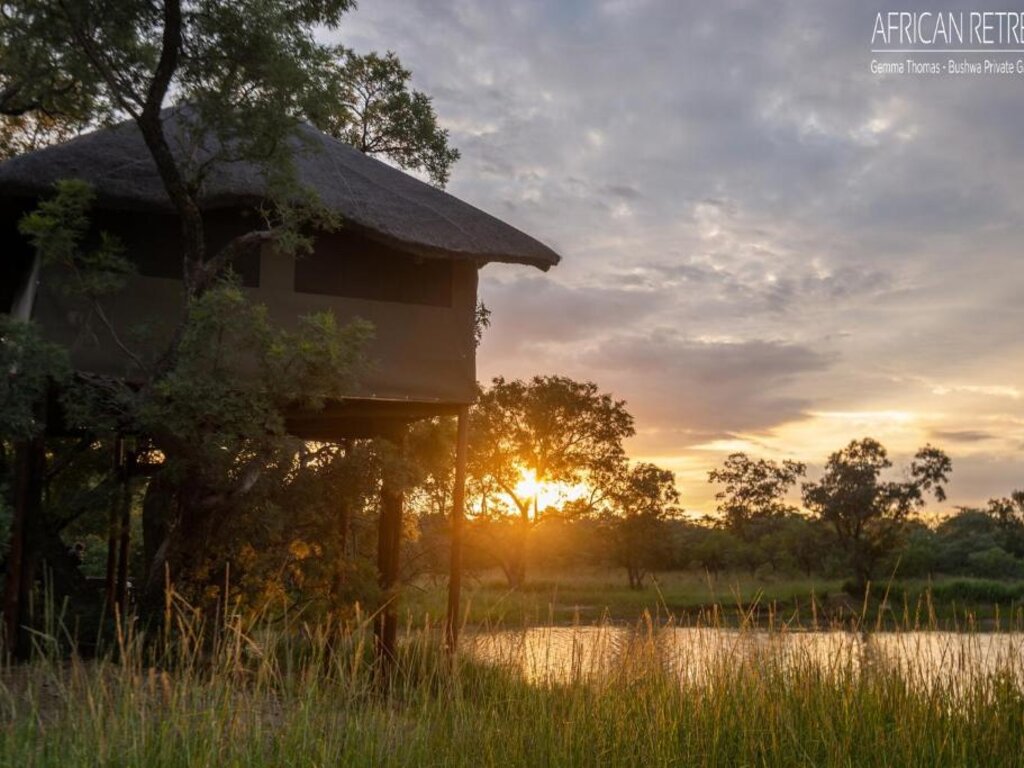 Tree House