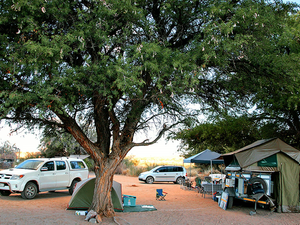 Canyon Roadhouse Campsite gallery
