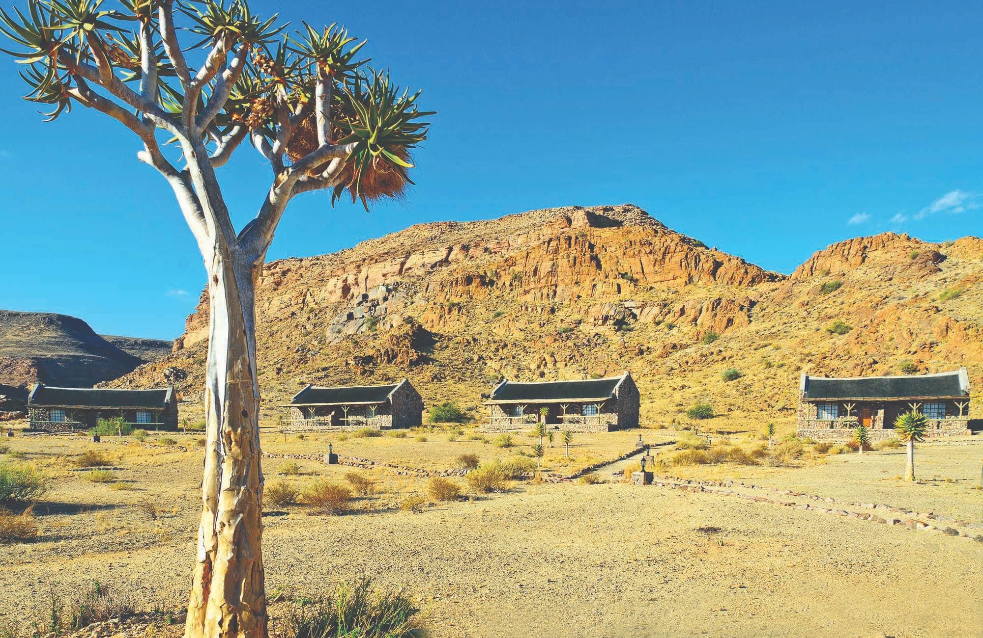 Canyon Village gallery