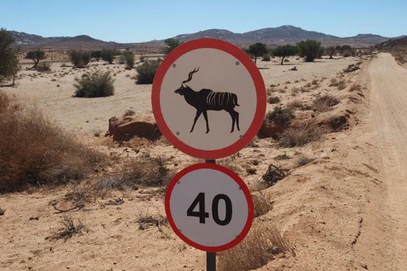 AfriCar Car Hire