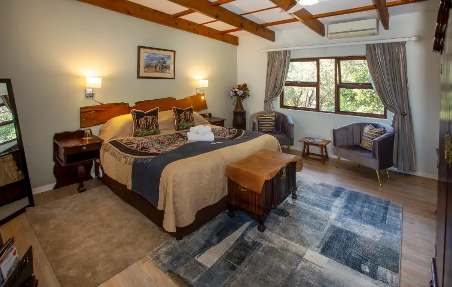 Elephant Suite - 1