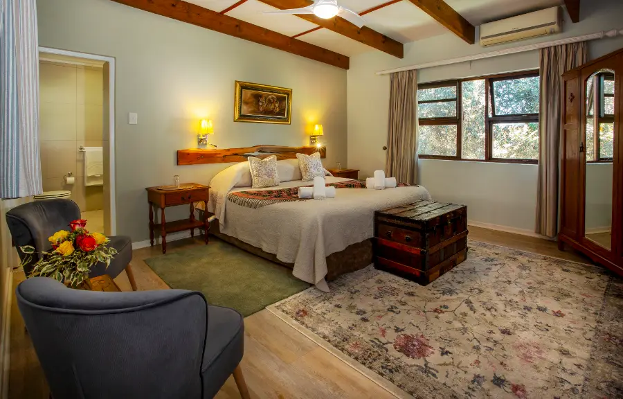 Lion Suite - 1