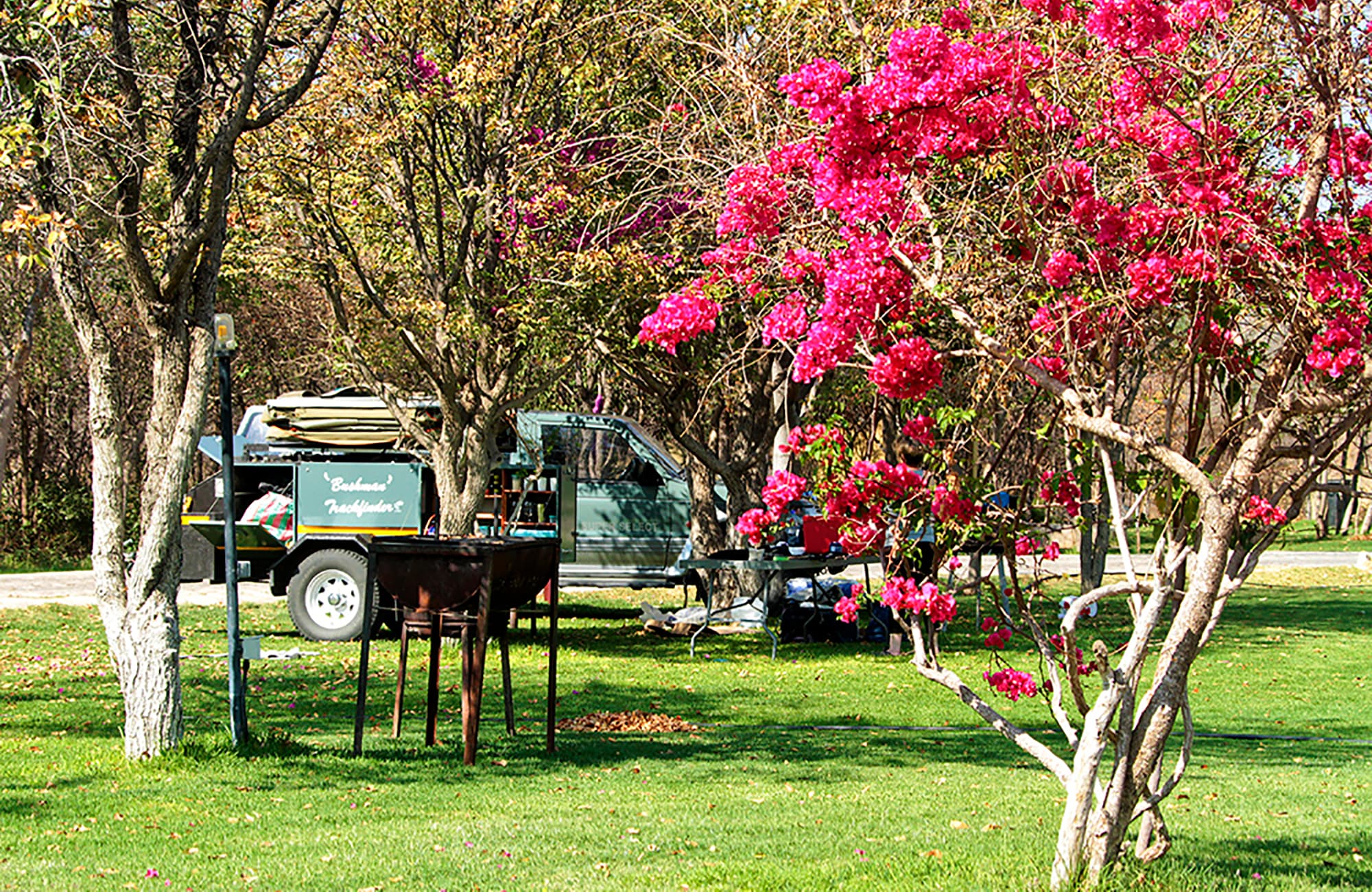 Etosha Safari Campsite gallery