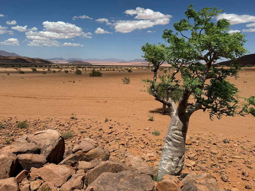 Luna Namib Collection gallery