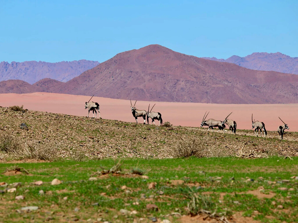 Luna Namib Collection gallery