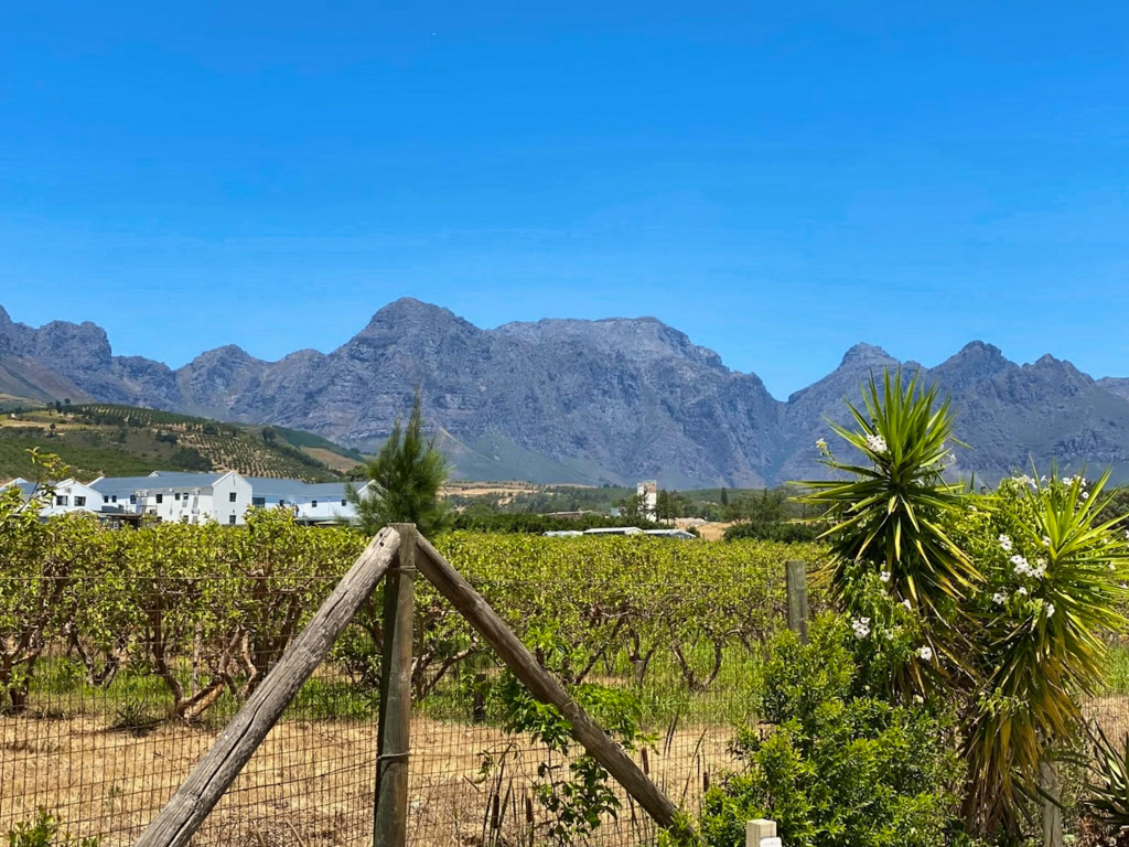 Magents Farm Guesthouse gallery