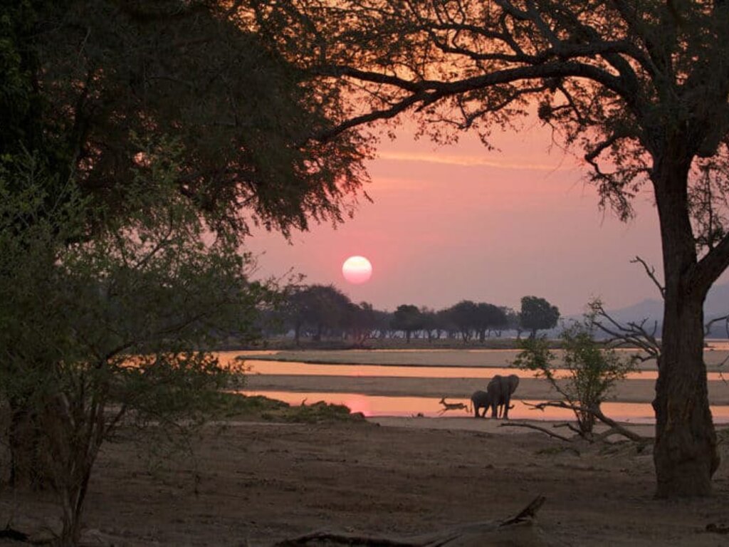 Mana Pools Safari Lodge gallery