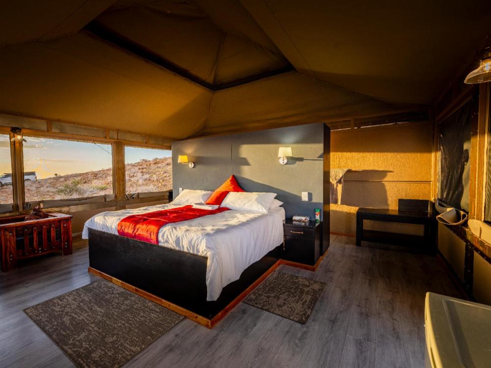 Luxury Room - 1
