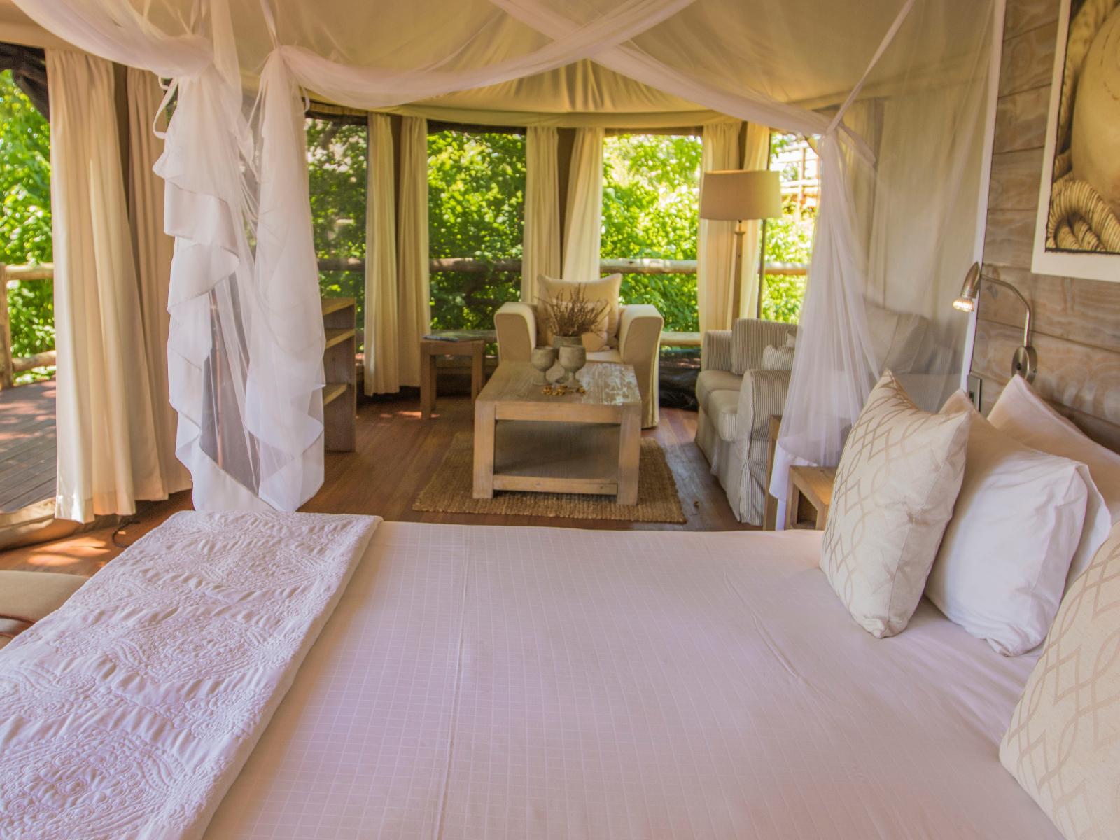Luxury Suite - 1