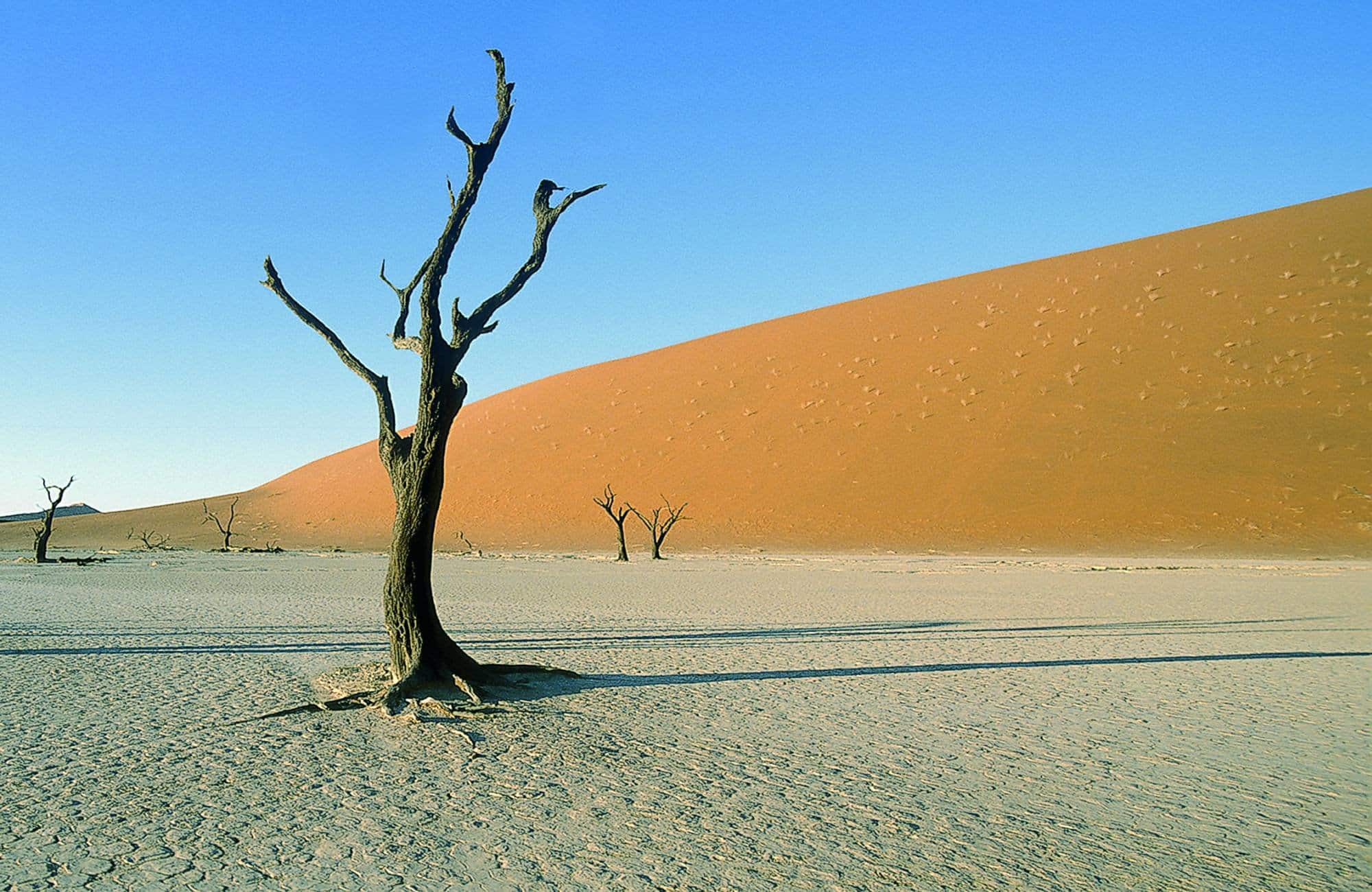 Namib Desert Camping2Go gallery
