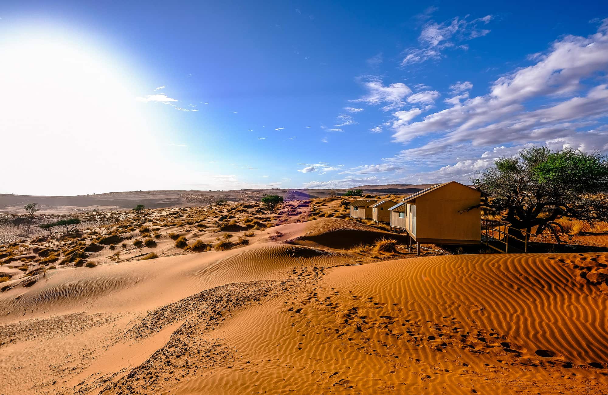 Namib Dune Star Camp gallery