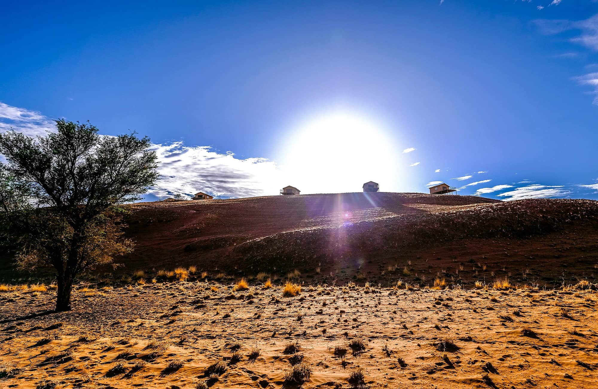 Namib Dune Star Camp gallery