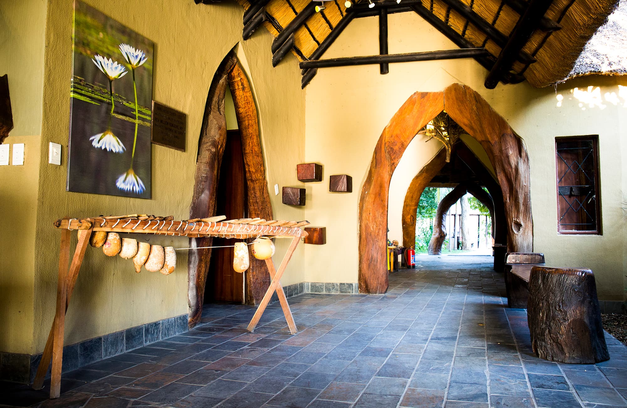Namushasha River Lodge gallery