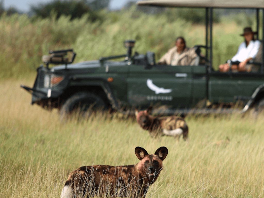 &Beyond Nxabega Okavango Tented Camp gallery