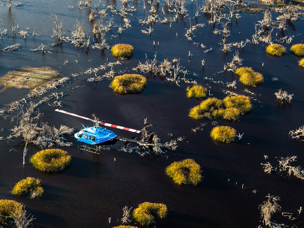 &Beyond Nxabega Okavango Tented Camp gallery