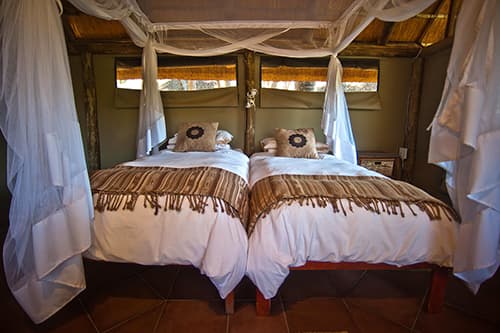 Twin Room - 1