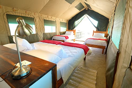 Safari Tent - 1