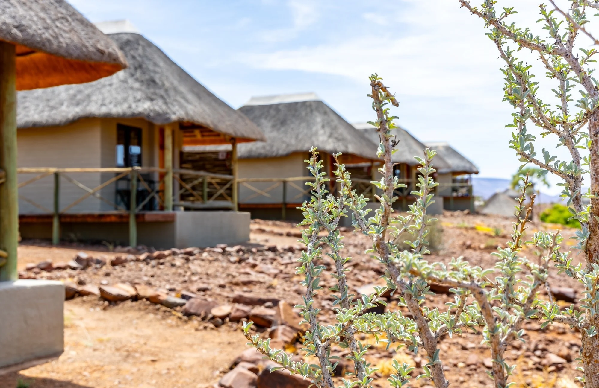 Palmwag Lodge & Camp gallery
