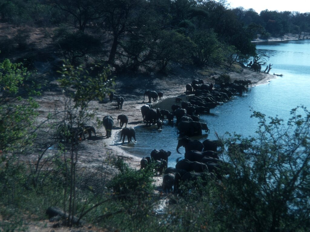 Botswana & Victoria Falls