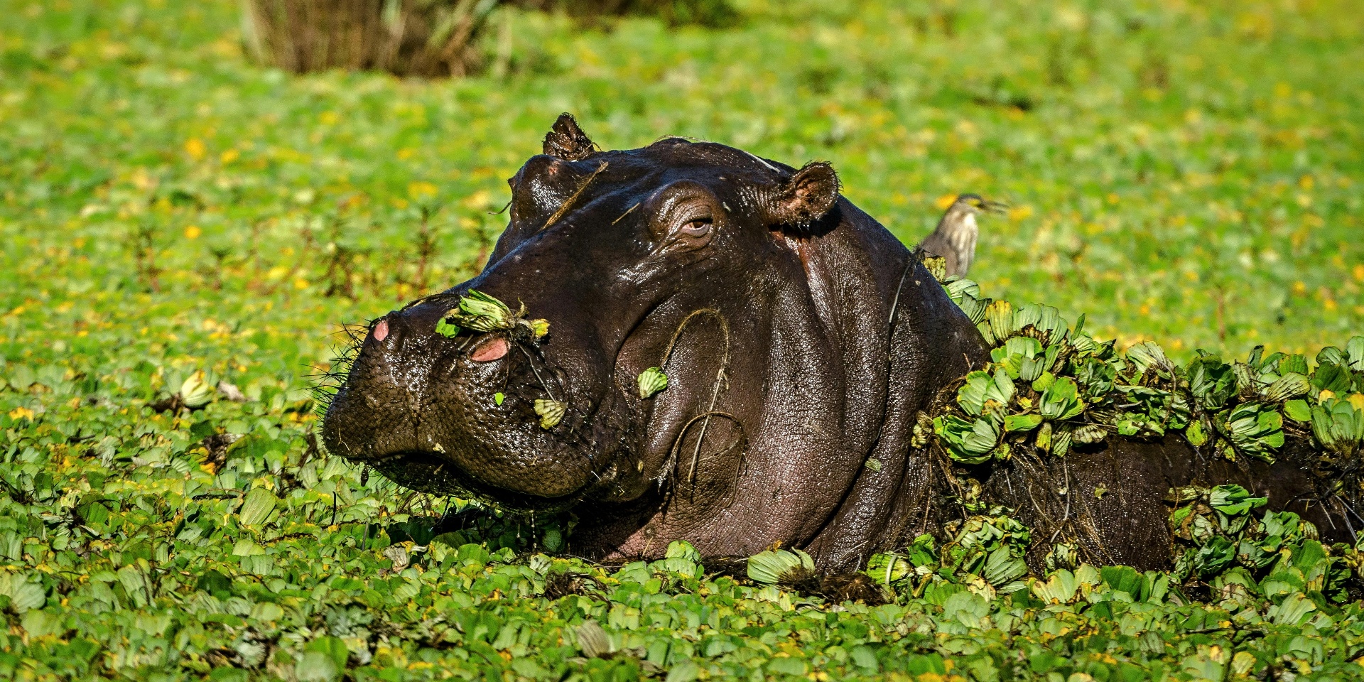iSimangaliso Wetland Park