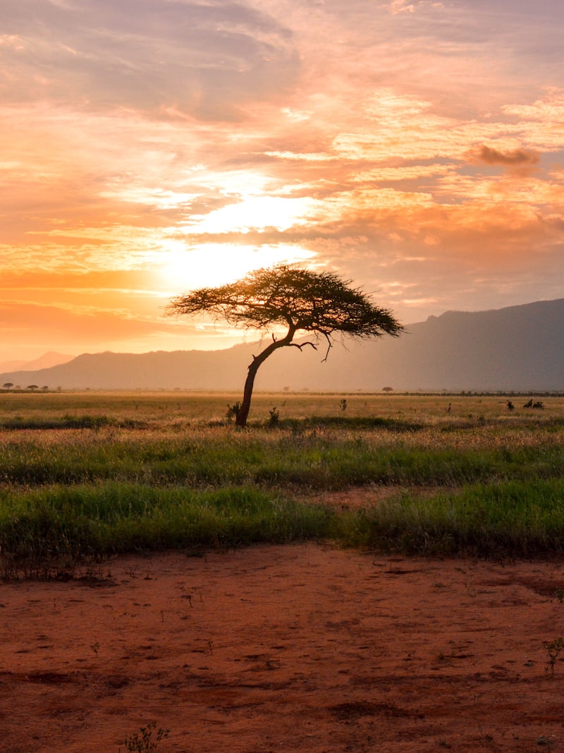 Maasai Mara