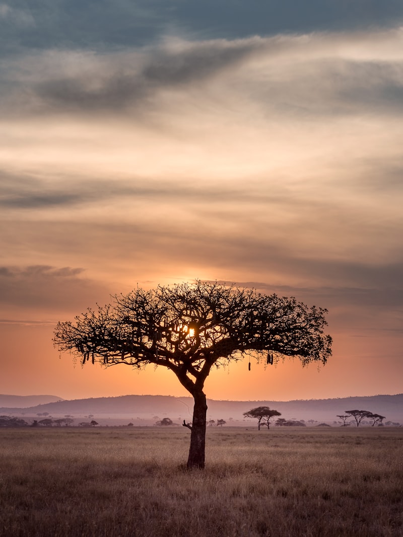 Mount Kenya