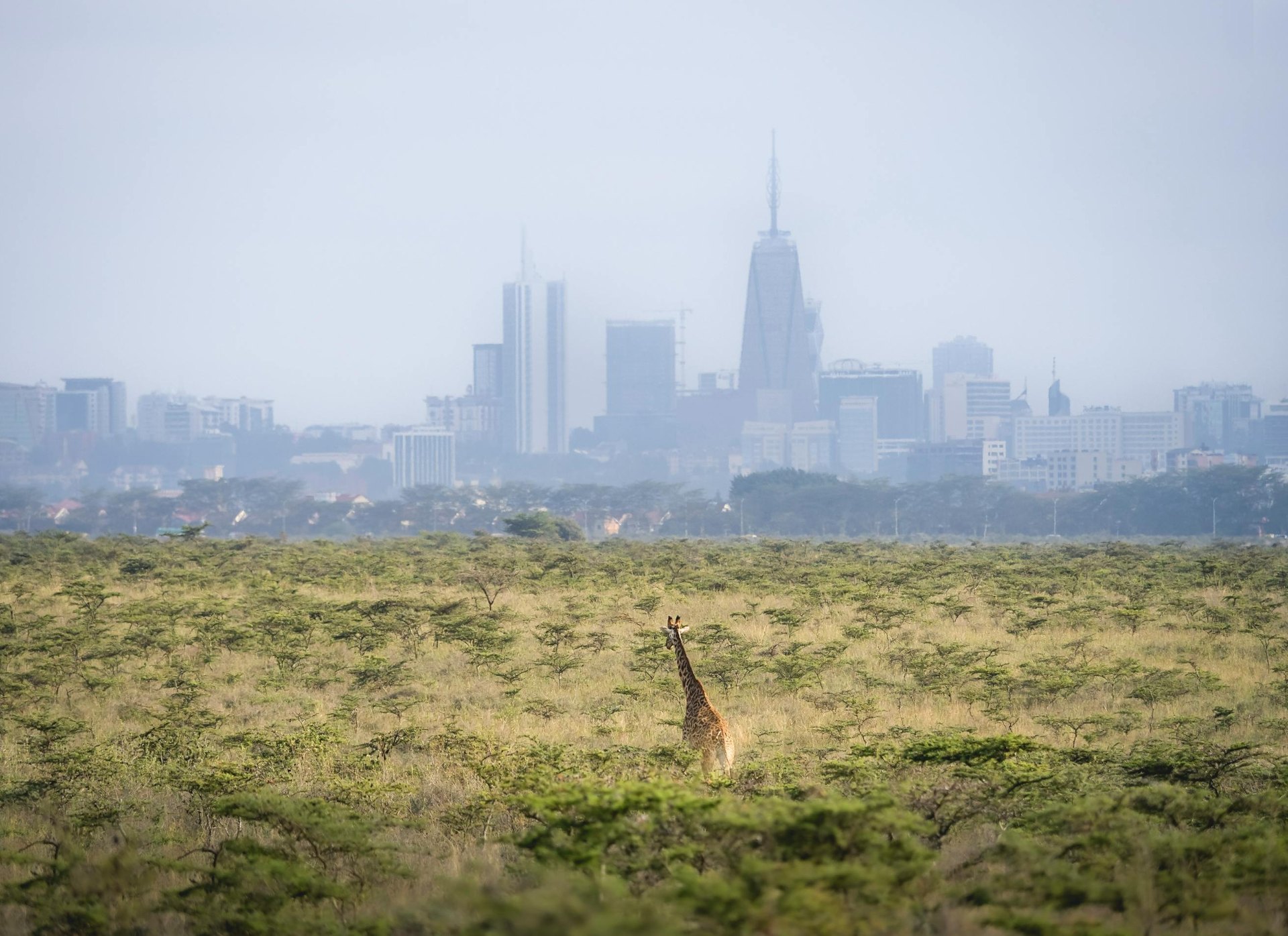 Nairobi