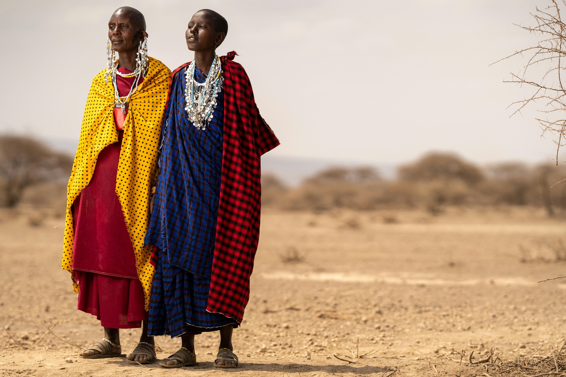 Samburu