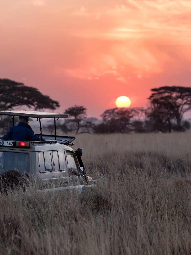Tsavo East