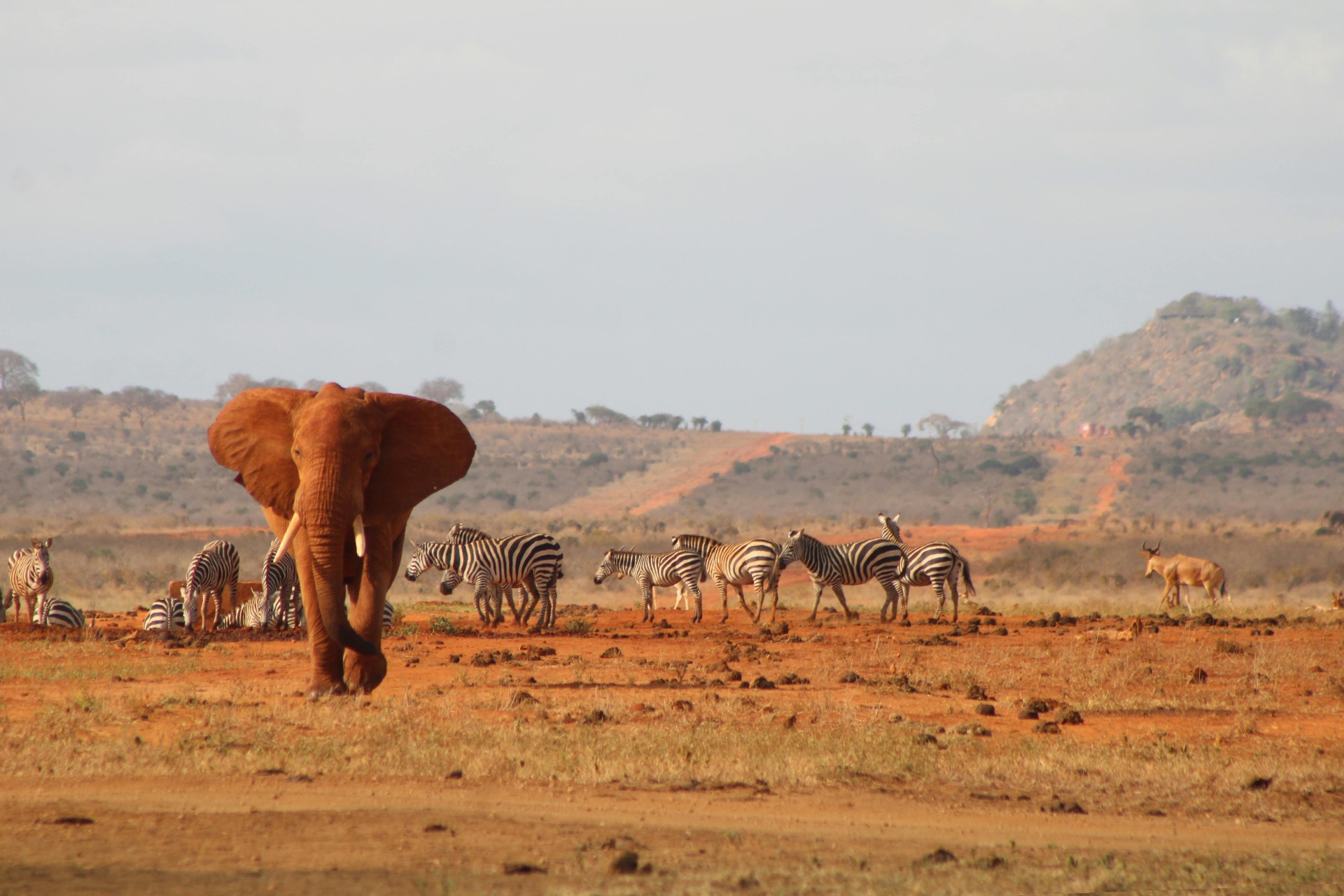 Tsavo West