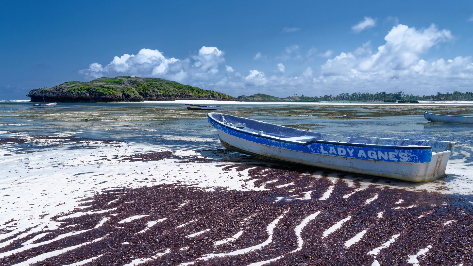 Watamu