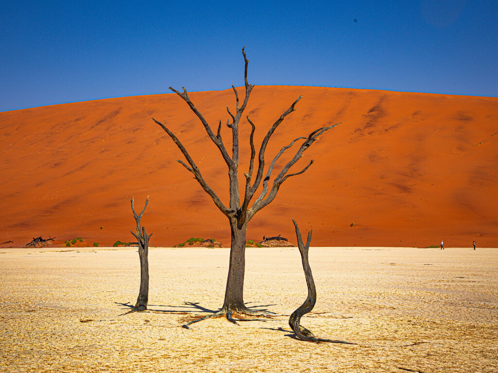 Sossusvlei & Namib