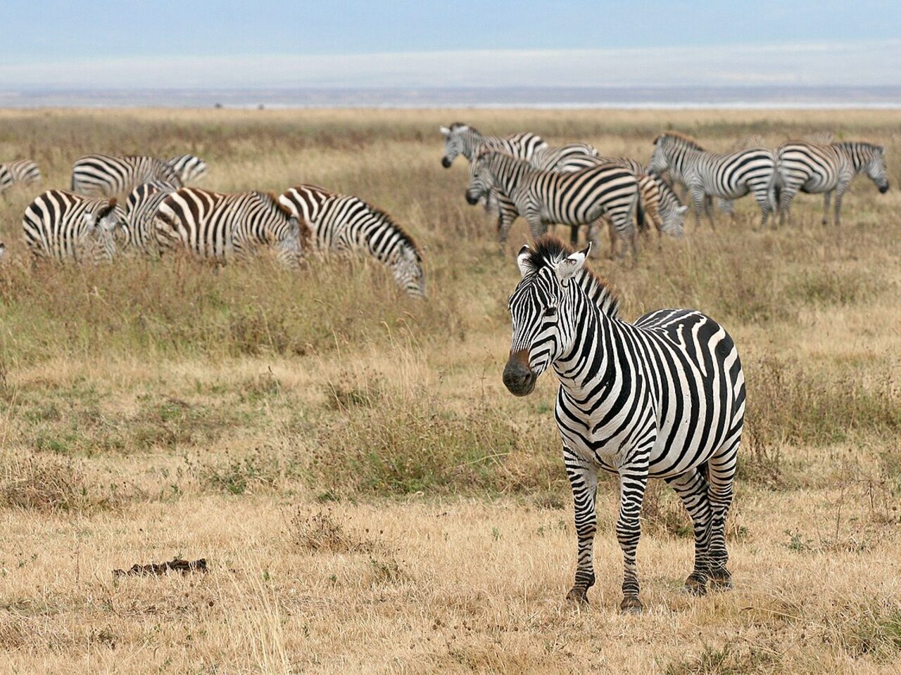 Ngorongoro Crater Accommodation