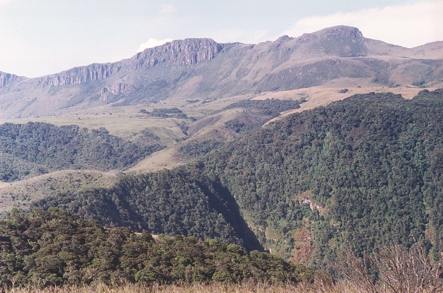 Eastern Highlands