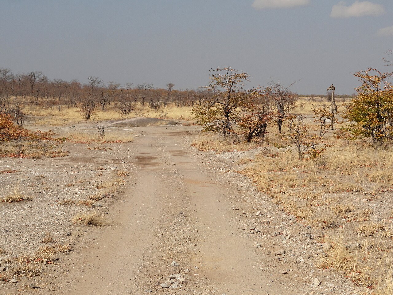 Hwange National Park