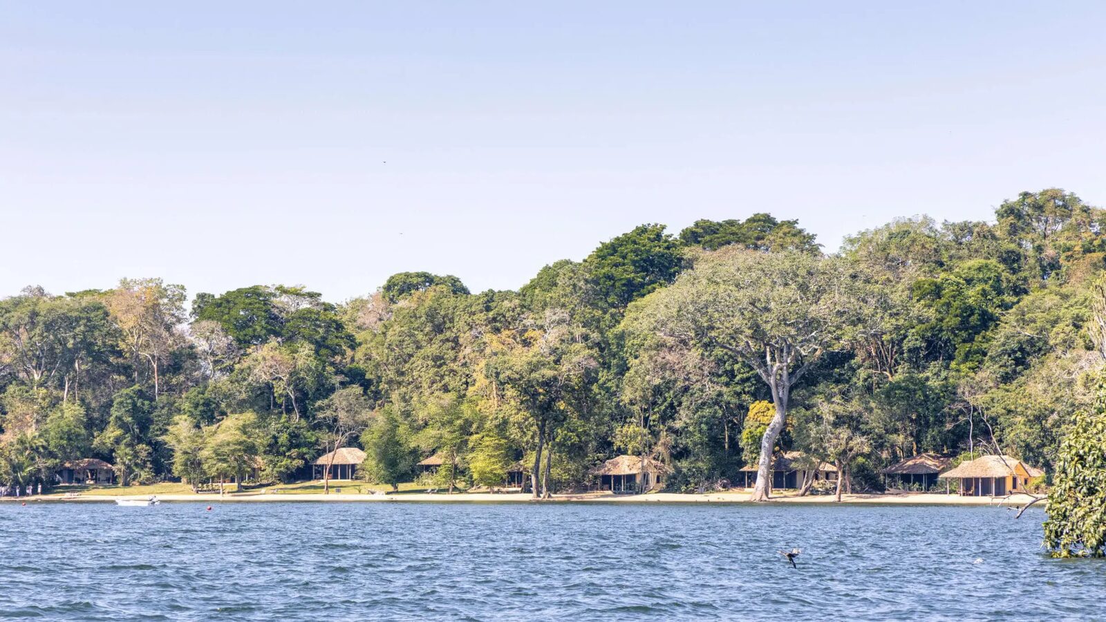 Rubondo Island Camp gallery