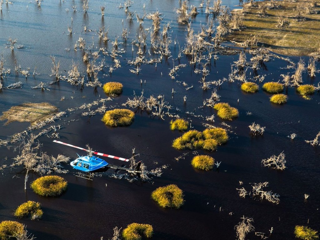 &Beyond Sandibe Okavango Safari Lodge gallery