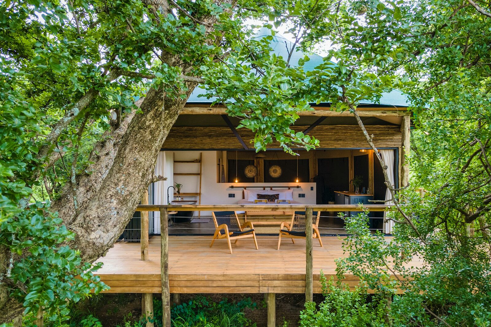 Jujube Couple Tent - 1