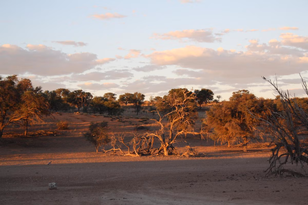 Torgos Lodge gallery