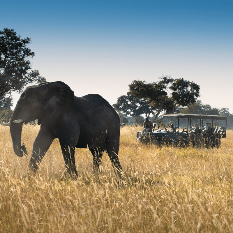 &Beyond Xaranna Okavango Delta Camp gallery